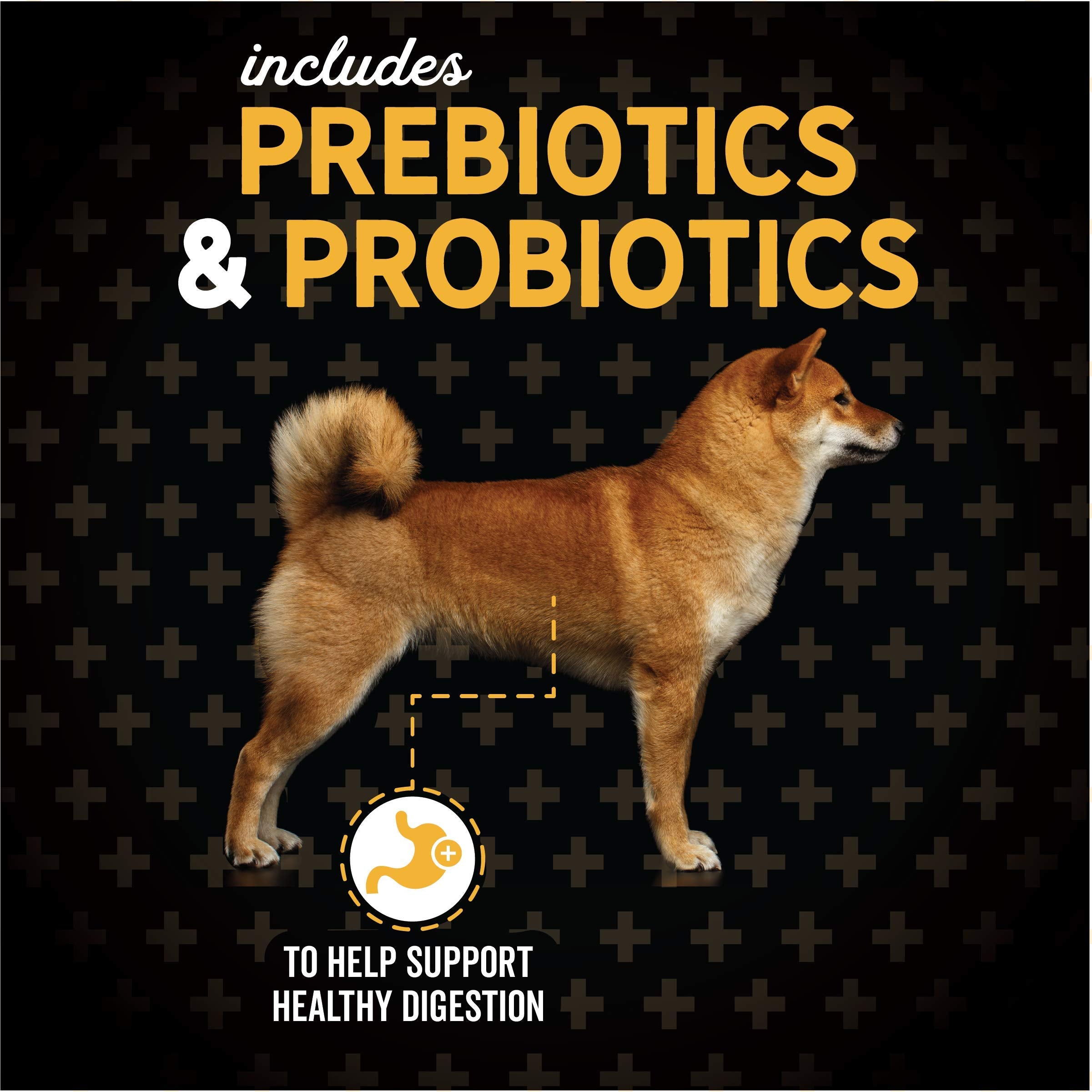 No corn, wheat, or soy; Evolve grain-free formula visual.