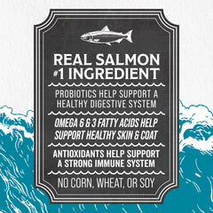 Evolve Simply Salmon dry dog food kibble closeup—real salmon aroma and crunchy texture.