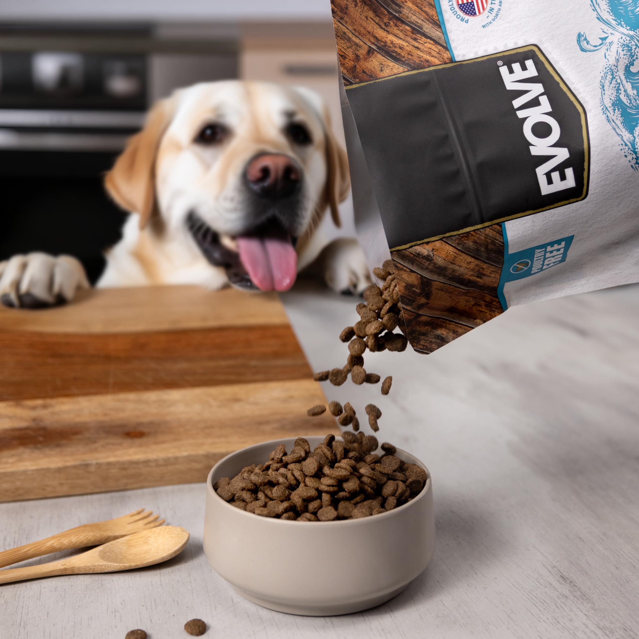Evolve Simply Salmon dry dog food limited-ingredient badge—no artificial colors, flavors, or preservatives.