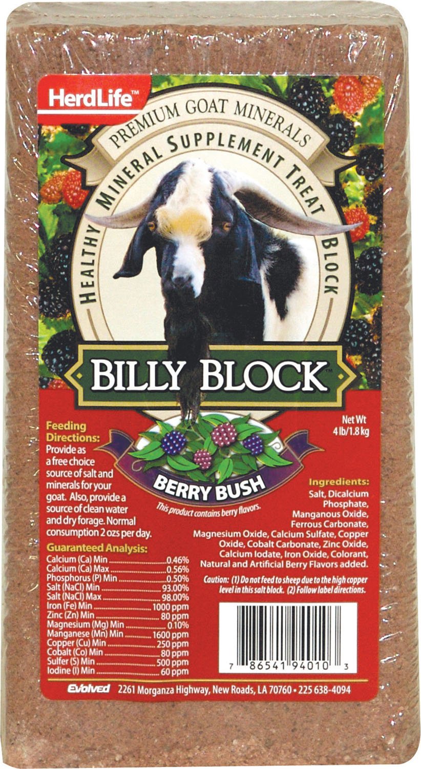 Evolved Billy Goat Mineral Block Berry Bush provides essential minerals for healthy pasture goats.