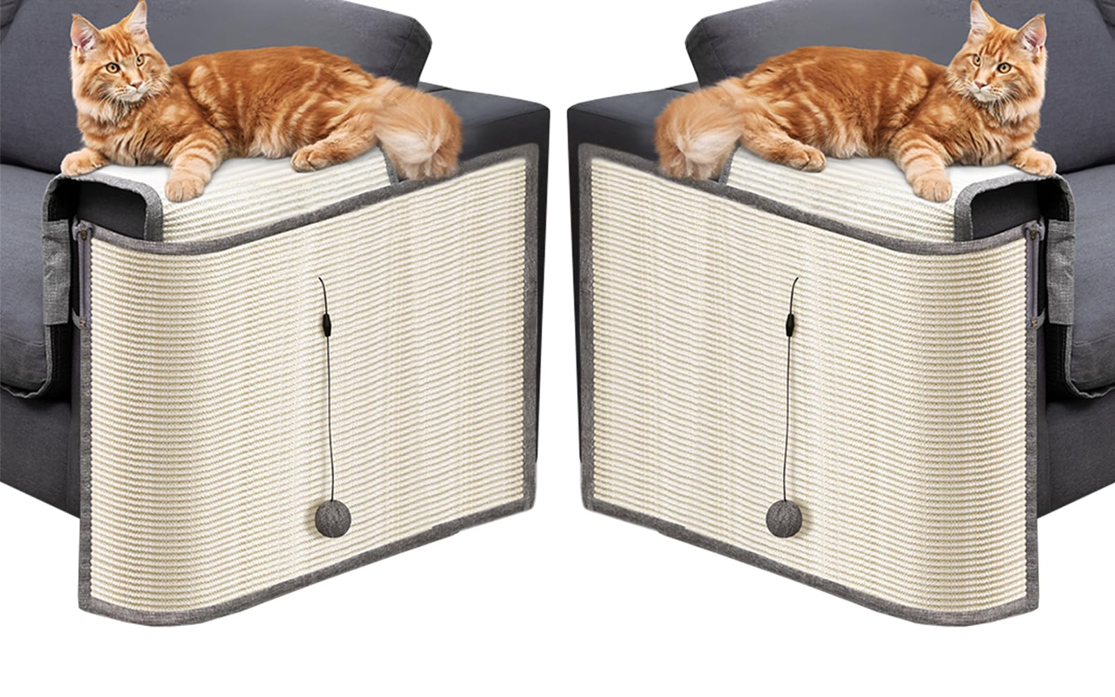 EVOMOTIVE Cat Couch Protector assembly guide enables quick, tool-free setup.