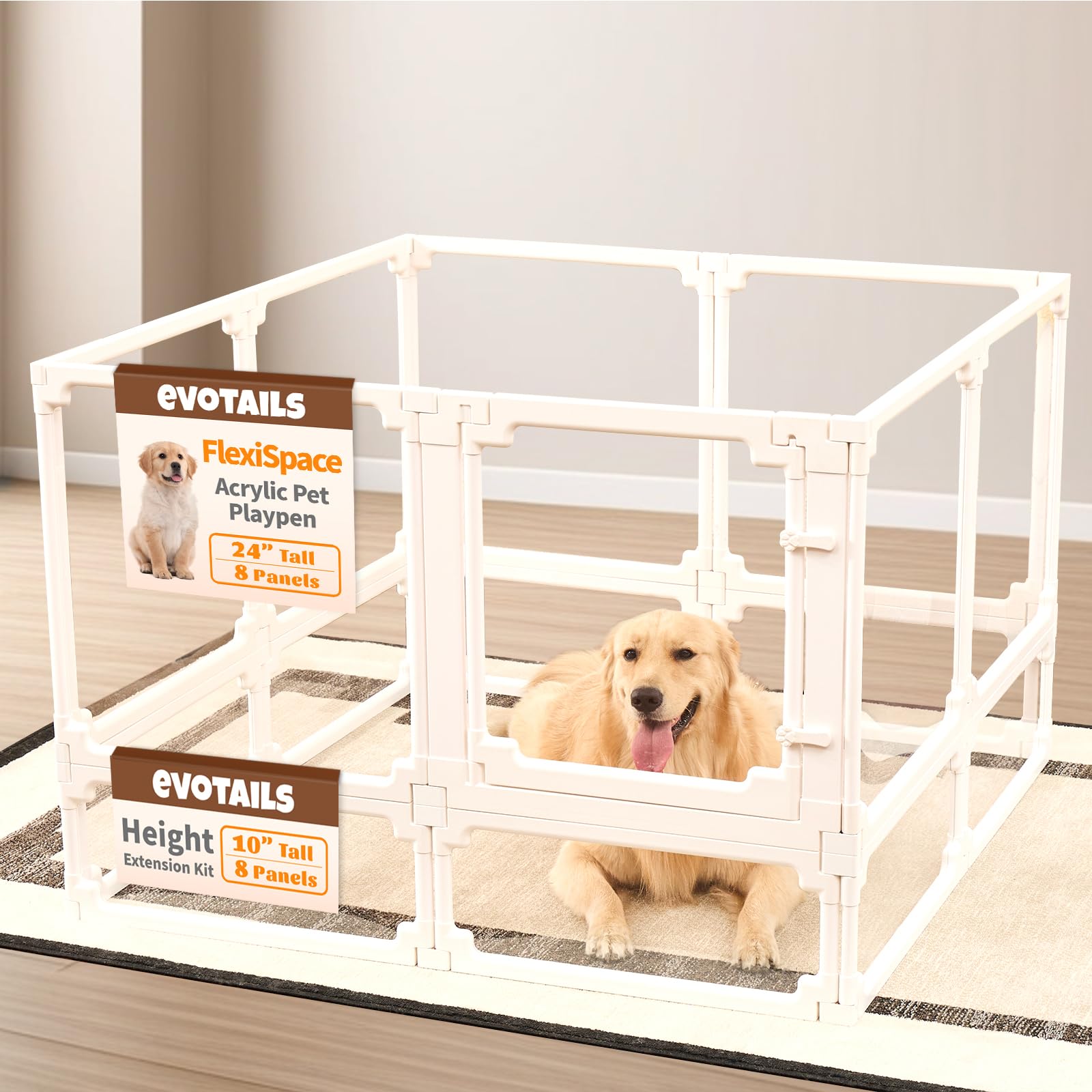 EVOTAILS FlexiSpace assembly demonstrates tool-free setup for quick indoor use.