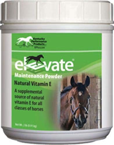 ewbob Elevate maintenance powder bottle for horses supporting daily vitamin E intake