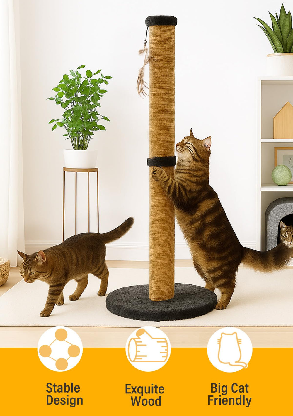 Ewenono black plush round base for durable indoor use and tipping prevention.