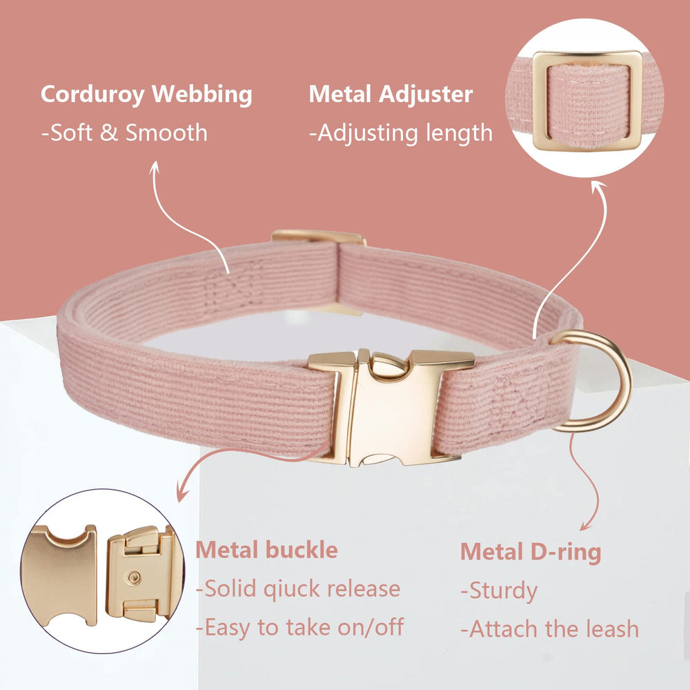 Corduroy collar with durable gold metal buckle for secure closure.