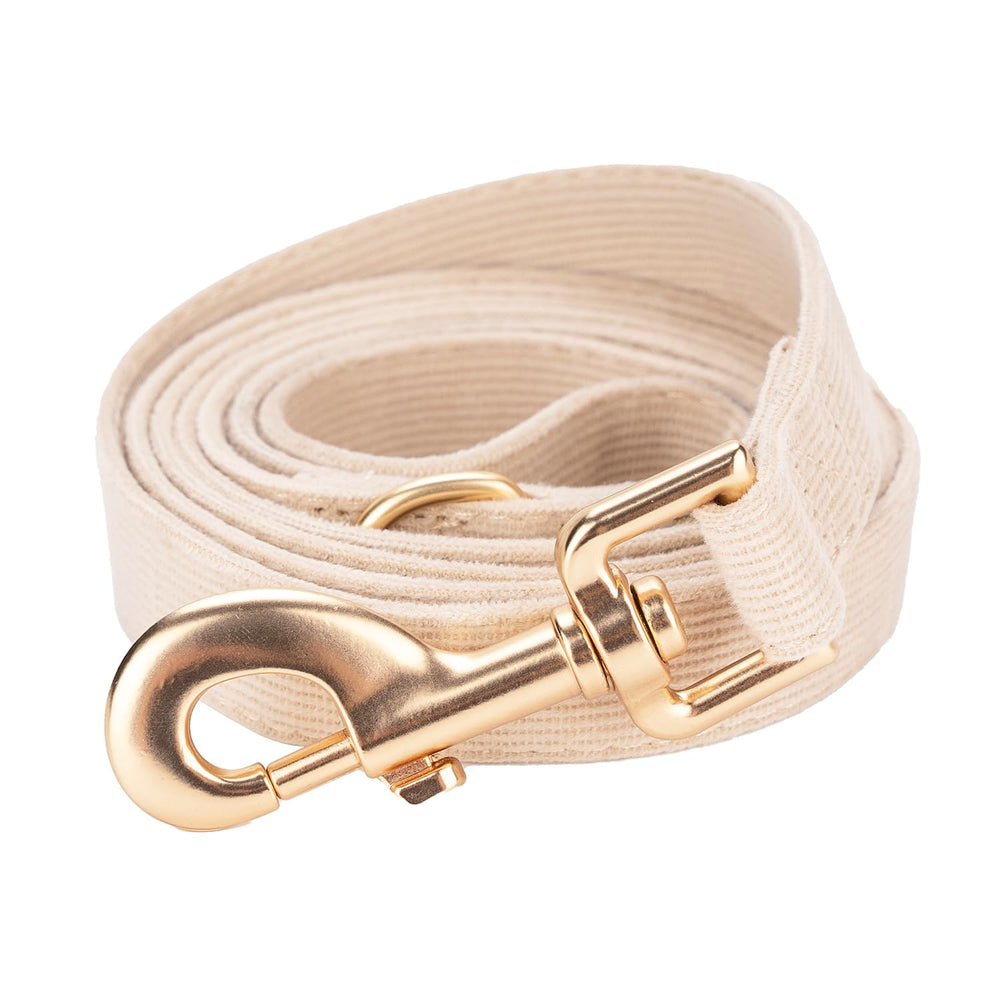 Ewinoom built-in D-ring handle for quick-access accessories.