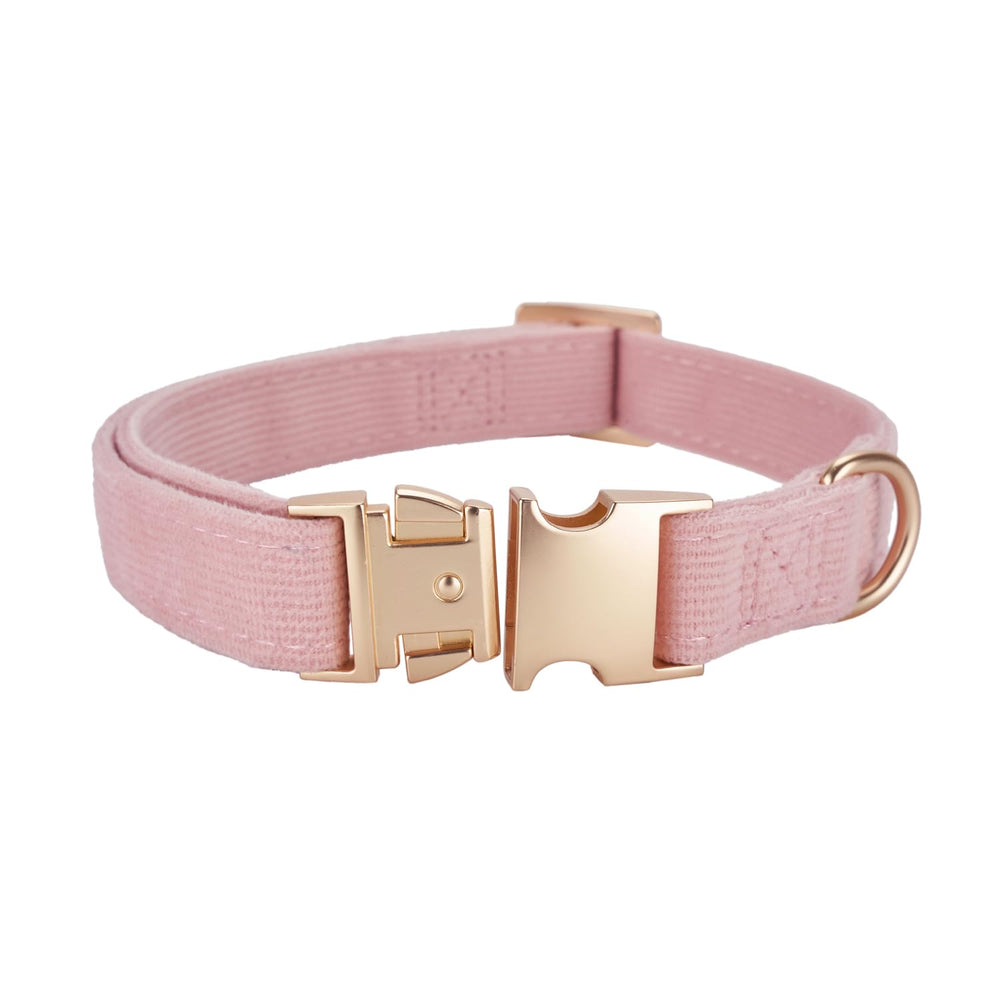 Ewinoom leash 5 ft with rose-gold swivel snap for easy clipping.