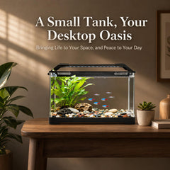 eWonLife 25W heater keeps tropical fish comfortable