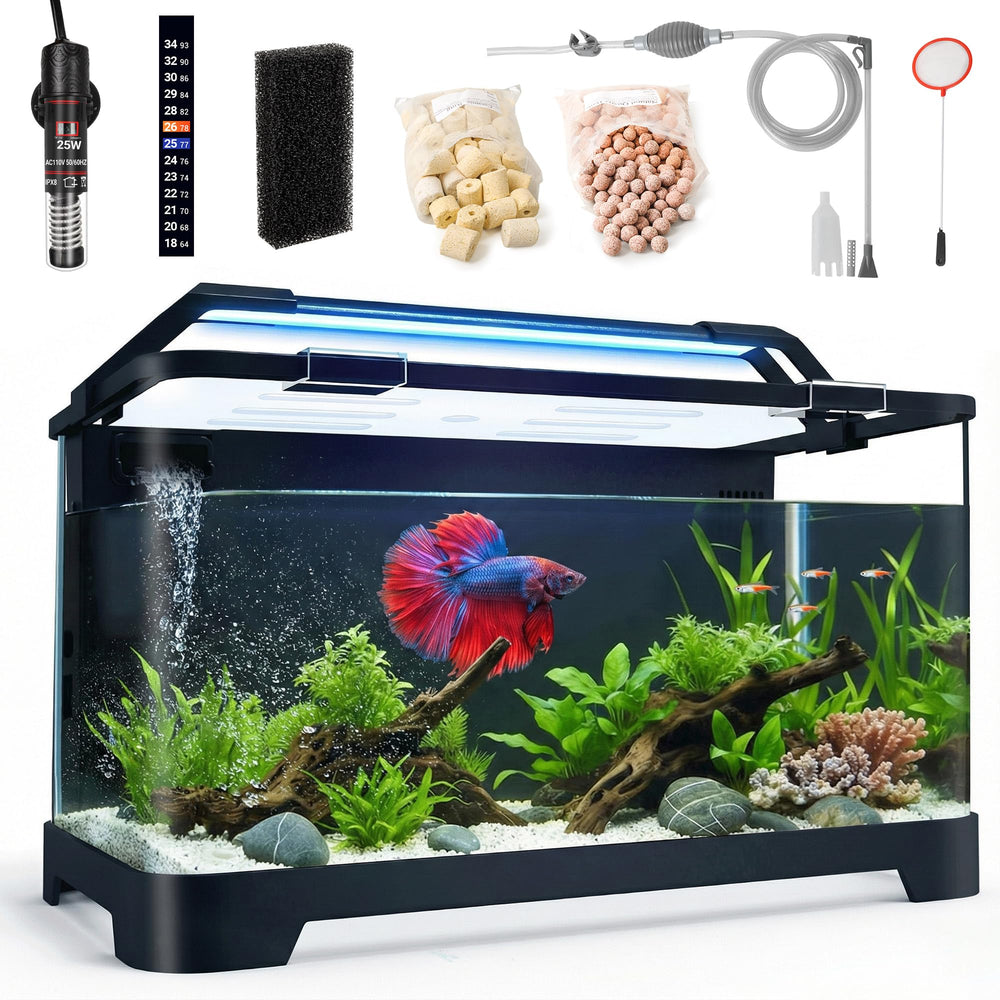 ewonlife 3.5 gallon Betta tank front view shows a sleek desk-friendly aquarium
