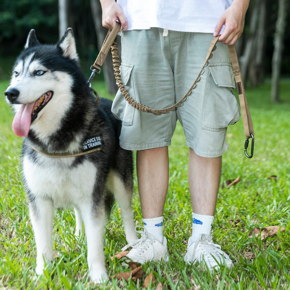 EXCELLENT ELITE SPANKER service-dog compatible leash ideal for everyday training.