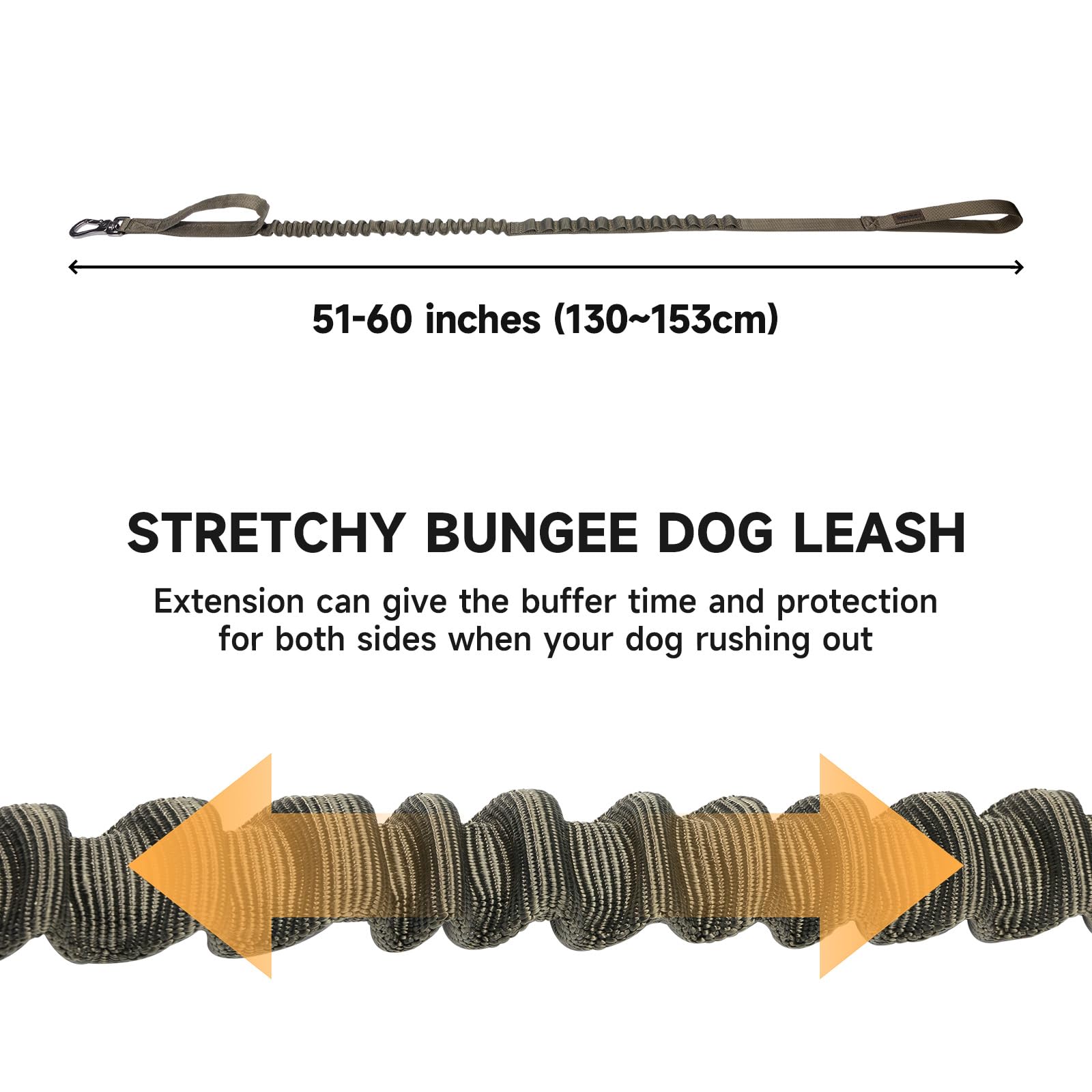 Excellent Elite Spanker two-handle leash – provides quick near-collar control during training.