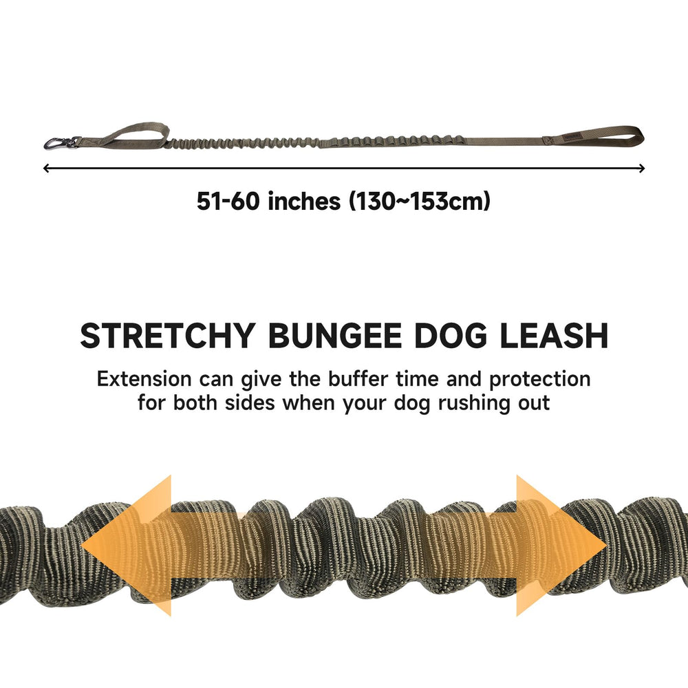 Excellent Elite Spanker two-handle leash – provides quick near-collar control during training.