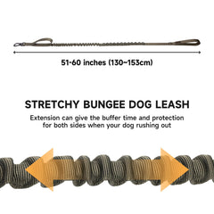 Excellent Elite Spanker two-handle leash – provides quick near-collar control during training.