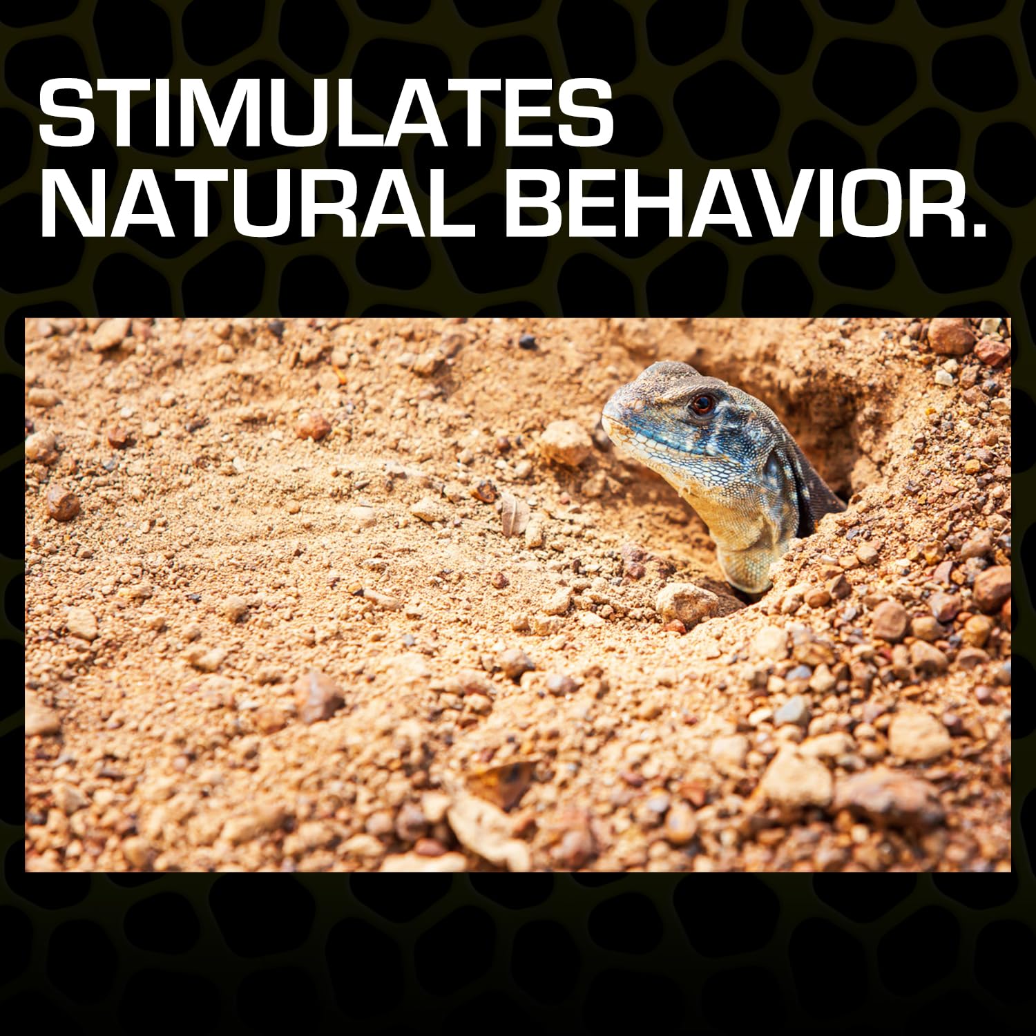 Exo Terra Desert Sand creates a natural desert landscape inside your terrarium.