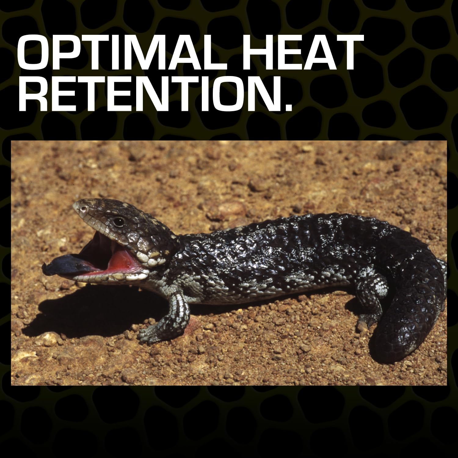 Egg-laying substrate option with Exo Terra Desert Sand for suitable species.
