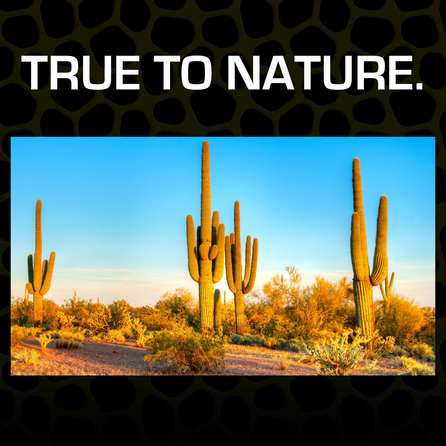 Exo Terra Desert Sand texture closeup shows natural granules ideal for even heat distribution.
