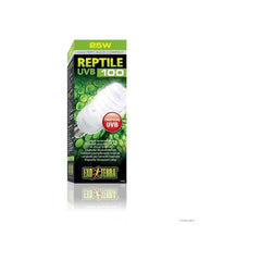 Exo Terra Repti-Glo 5.0 26W lamp lighting a tropical terrarium for active reptiles.