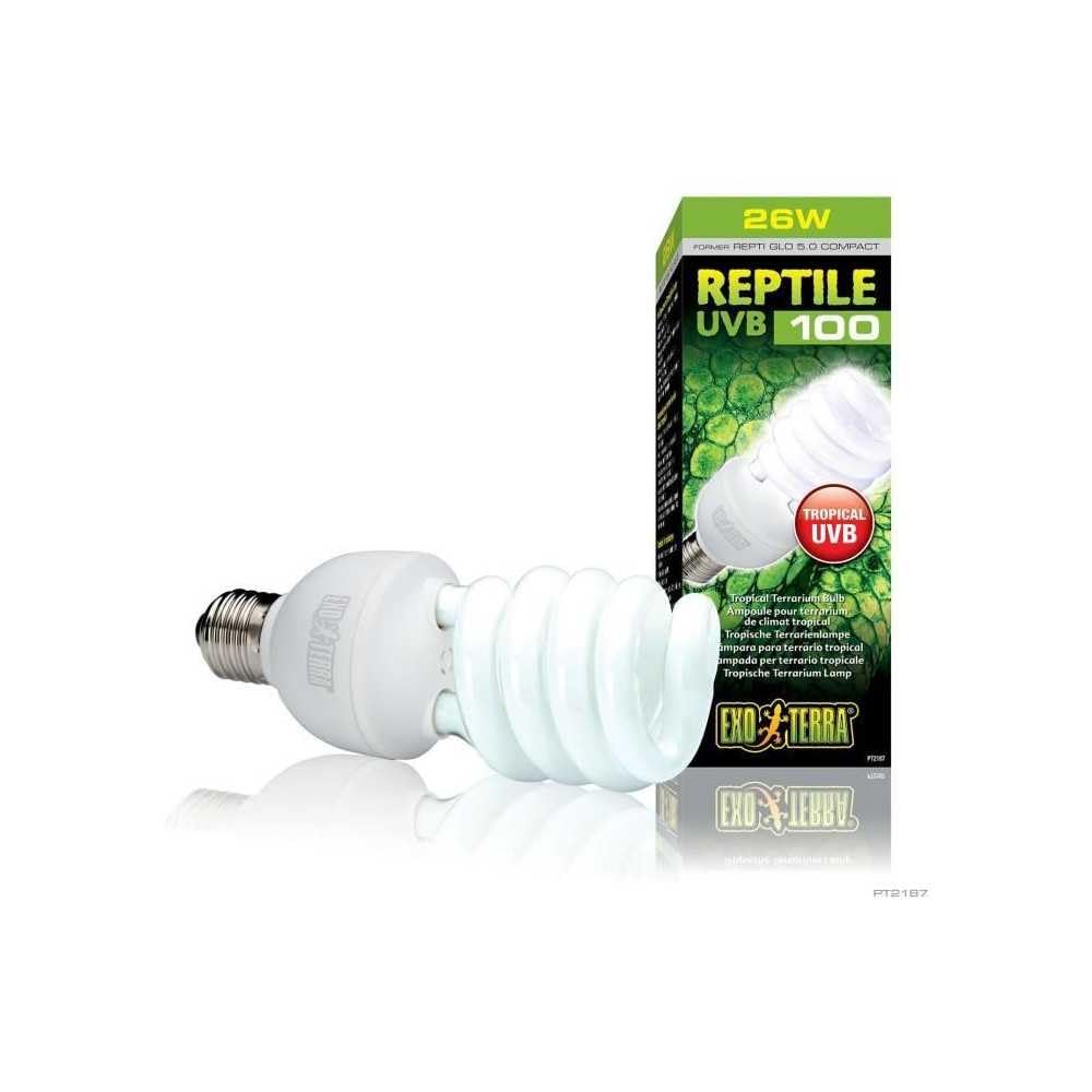 Exo Terra Repti-Glo 5.0 UVB output supporting calcium metabolism in tropical species.