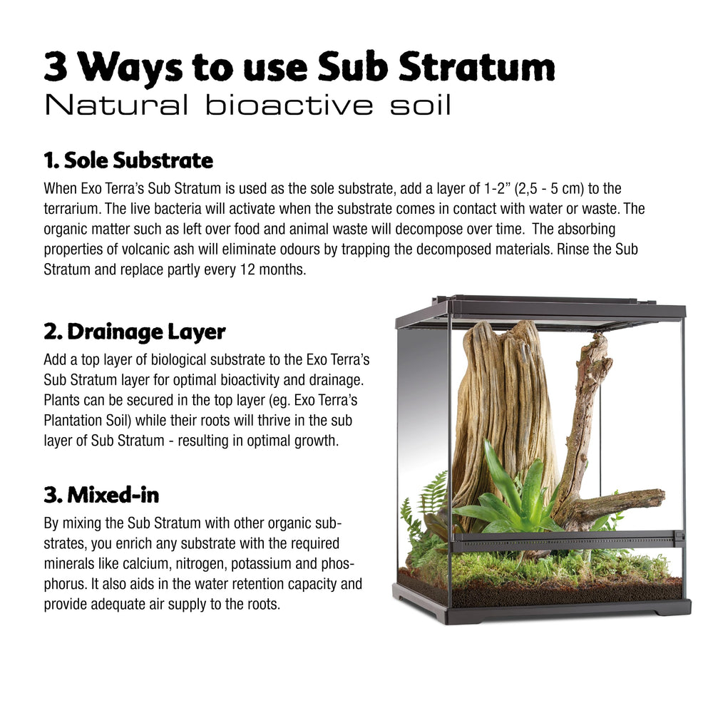 Exo Terra Sub Stratum planted terrarium foundation promotes lush, sustainable ecosystems.