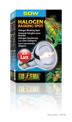 Exo Terra Sun Glo color enhancement highlights reptile hues with Neodymium