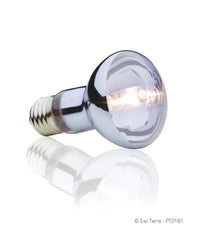 Exo Terra Sun Glo emits UVA for natural activity and breeding cues