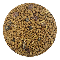 Exotic Nutrition feeding concept shows a small mammal enjoying high-protein Berries & Bugs mix.