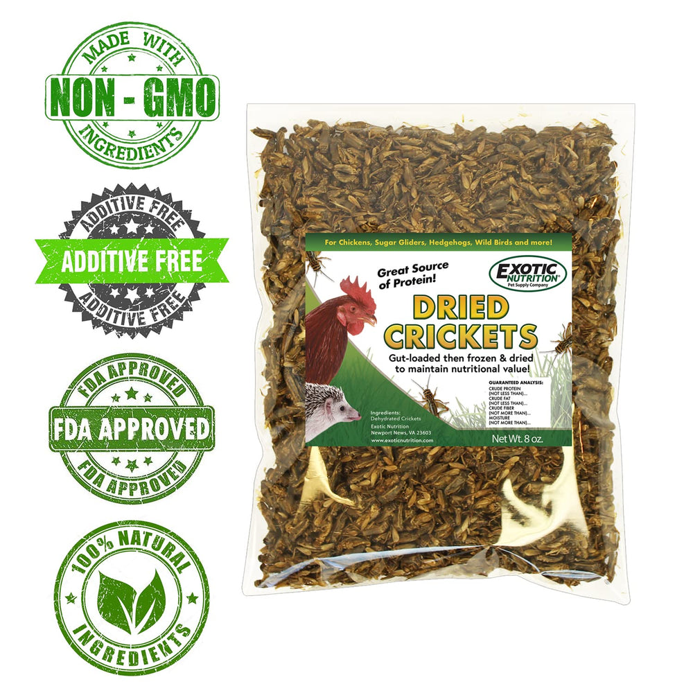 Exotic Nutrition chickens feeding crickets at a yard feeder.