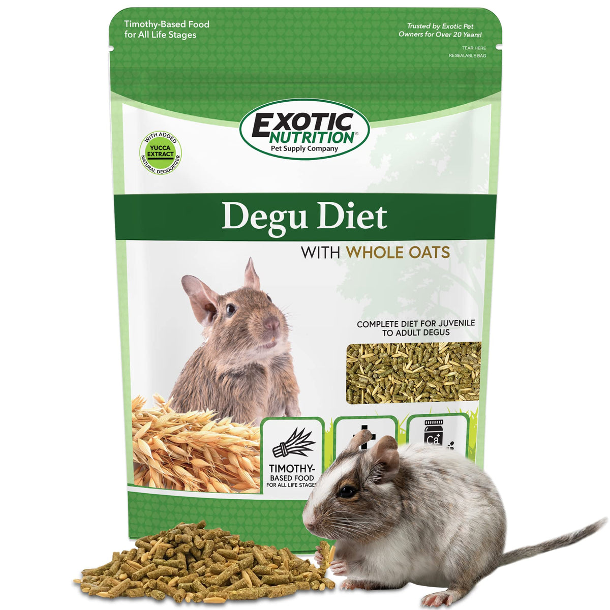 Exotic Nutrition Degu Diet pellets in a bowl promote balanced nutrition for domesticated degus.