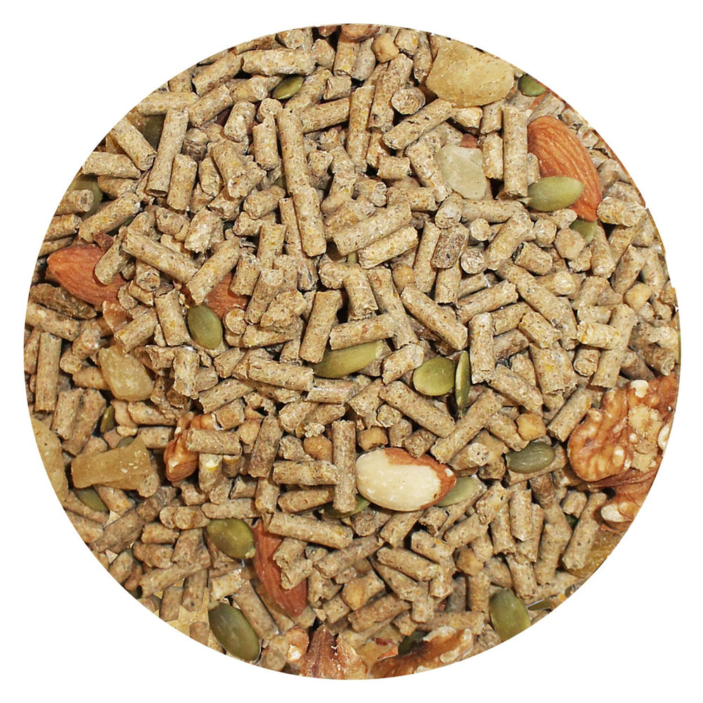 Exotic Nutrition dried fruits visible for flavor and variety in the diet