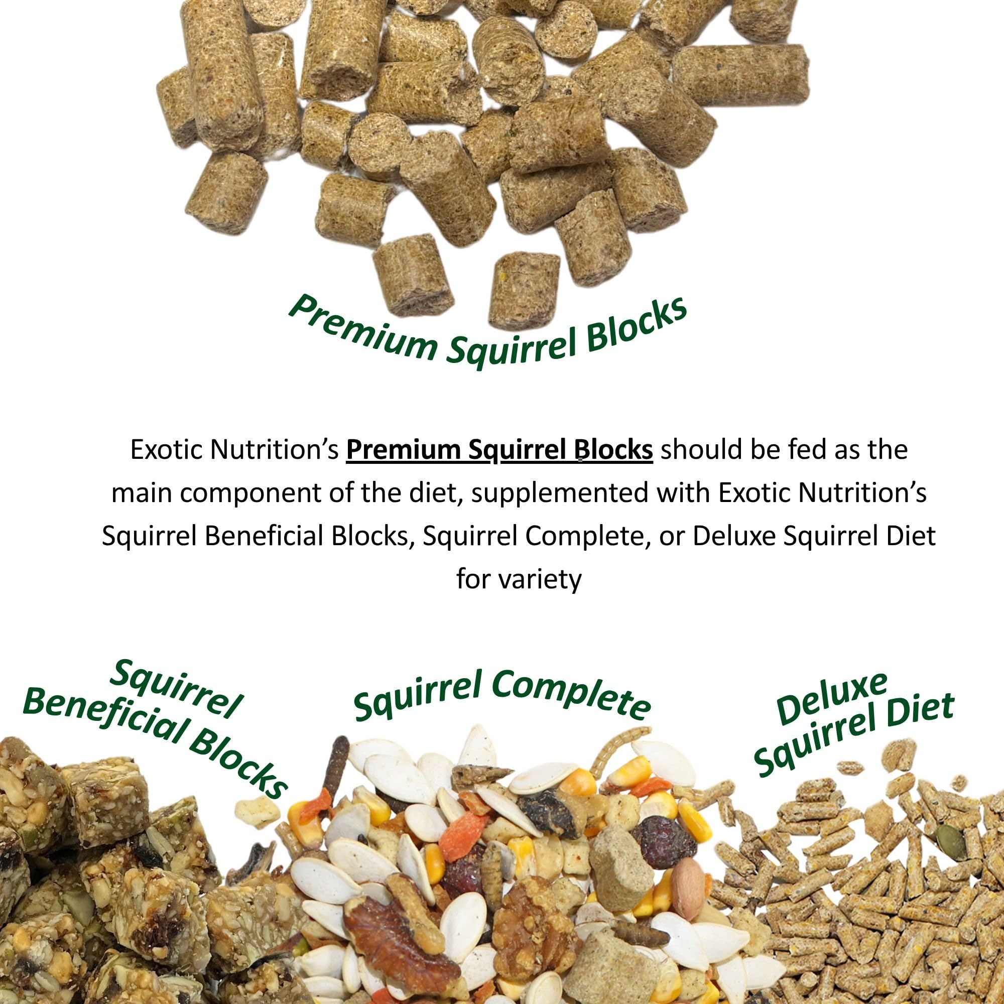High-protein pellets close-up from Exotic Nutrition Diet supporting active squirrels