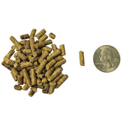 Exotic Nutrition mix of nuts and seeds for enrichment in Deluxe Squirrel Diet