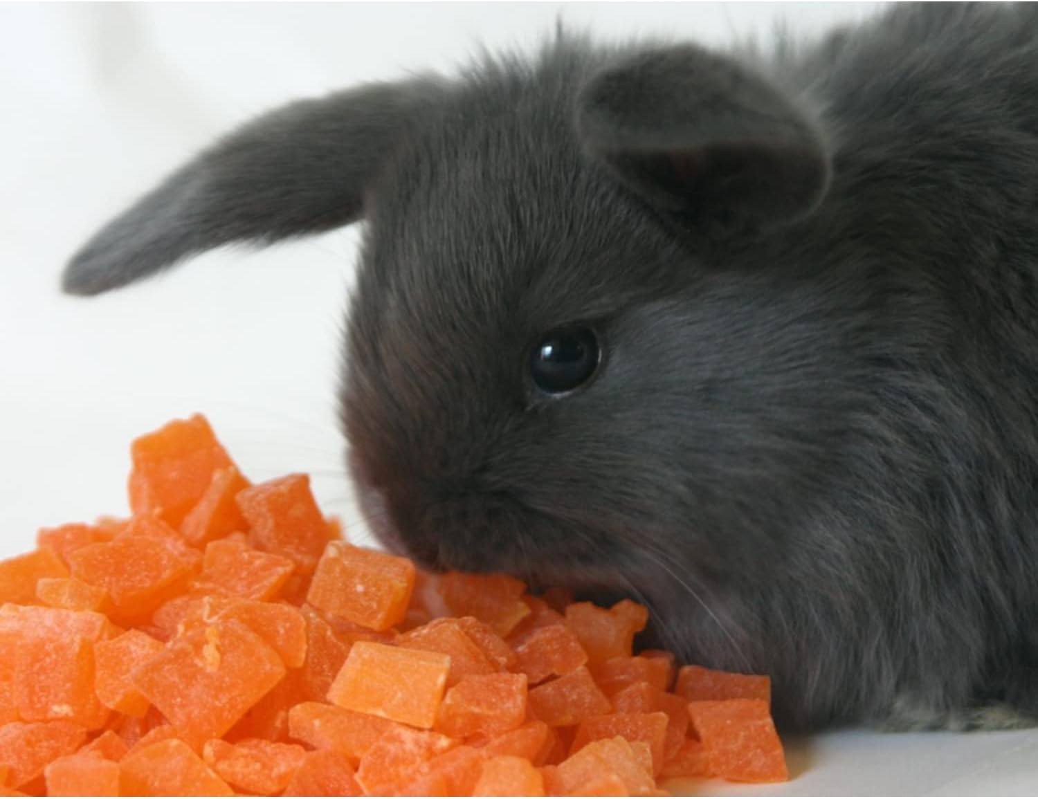 Exotic Nutrition Dried Papaya Dice shown as a long-lasting, mess-free snack.