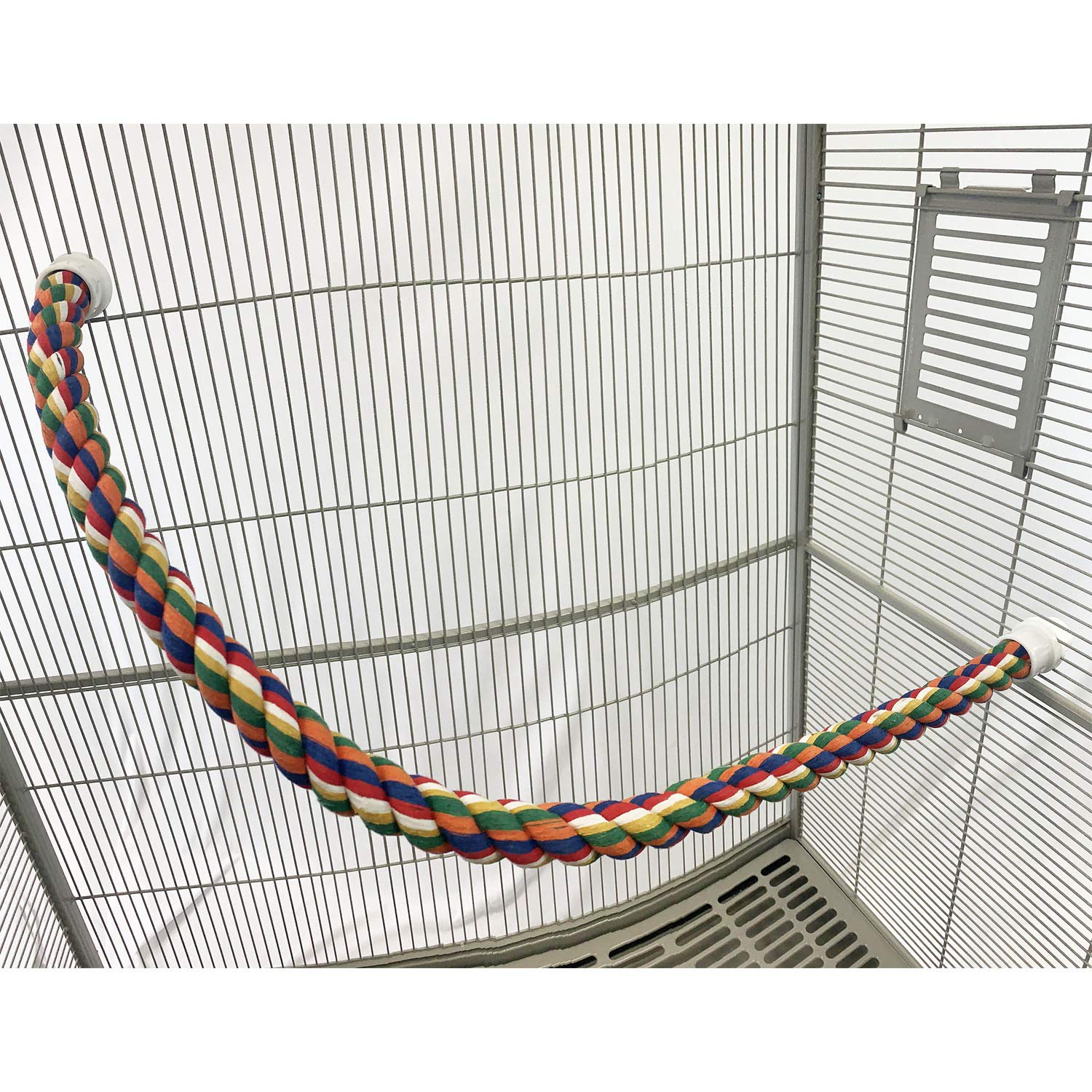 Exotic Nutrition flex rope in-cage setup for versatile climbing routes.