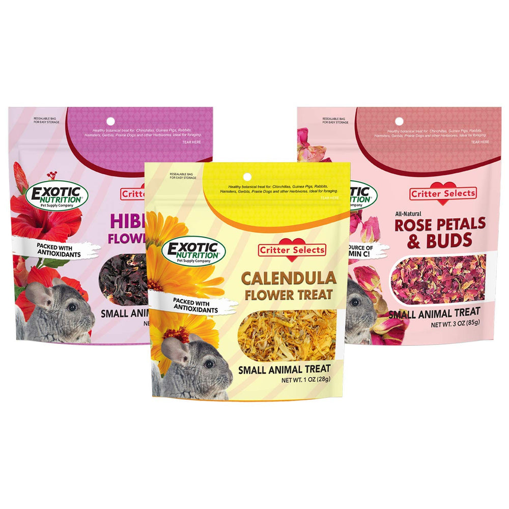 Exotic Nutrition Calendula flowers as a gentle herbivore snack and enrichment