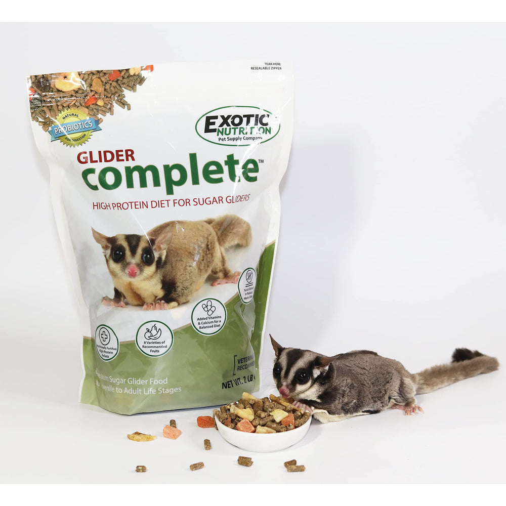 Exotic Nutrition Glider Complete pellet close-up showing high-protein formula for healthy growth.