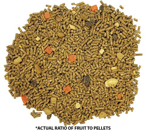 Exotic Nutrition Glider Complete small-batch production for consistent quality.