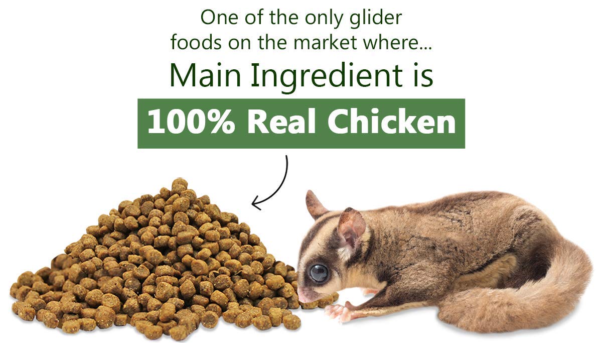 Ingredients chart of Exotic Nutrition Glider Essential coconut-flavor formula