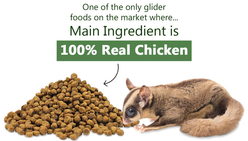 Ingredients chart of Exotic Nutrition Glider Essential coconut-flavor formula