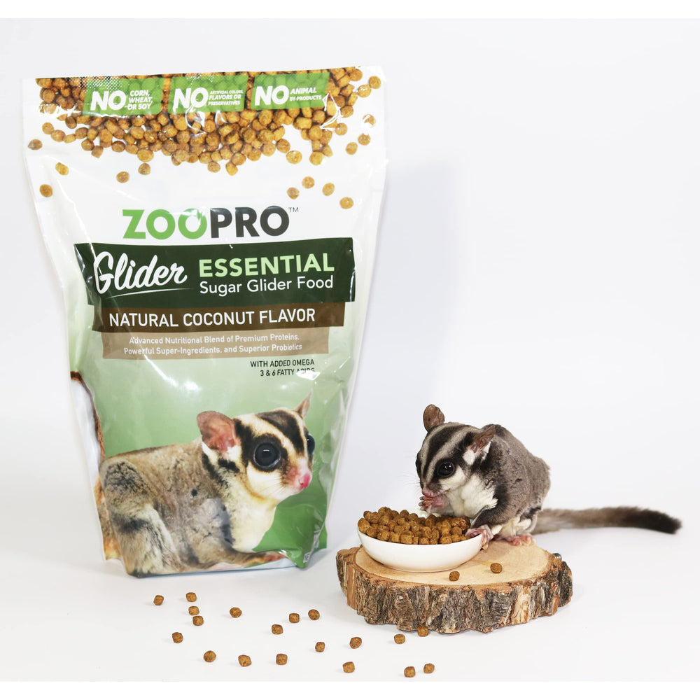 Close-up of Glider Essential kibble highlighting bite-sized texture and coconut flavor