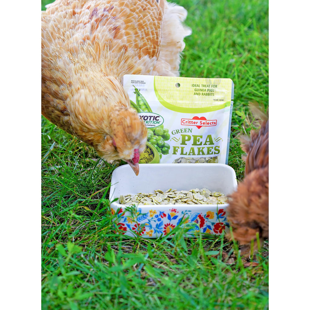 Exotic Nutrition Green Pea Flakes label highlights protein and fiber.