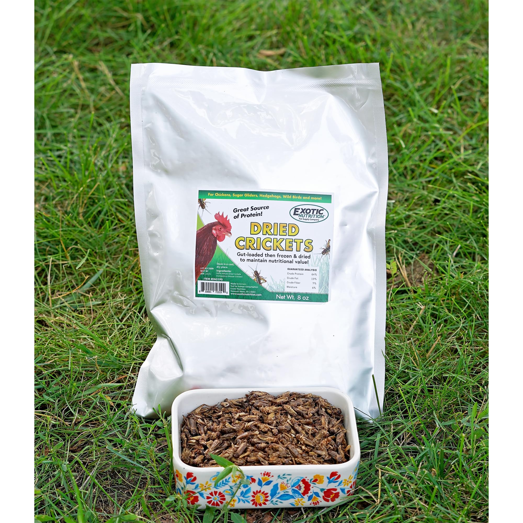 Exotic Nutrition hand-selected crickets illustrating high-quality insects.