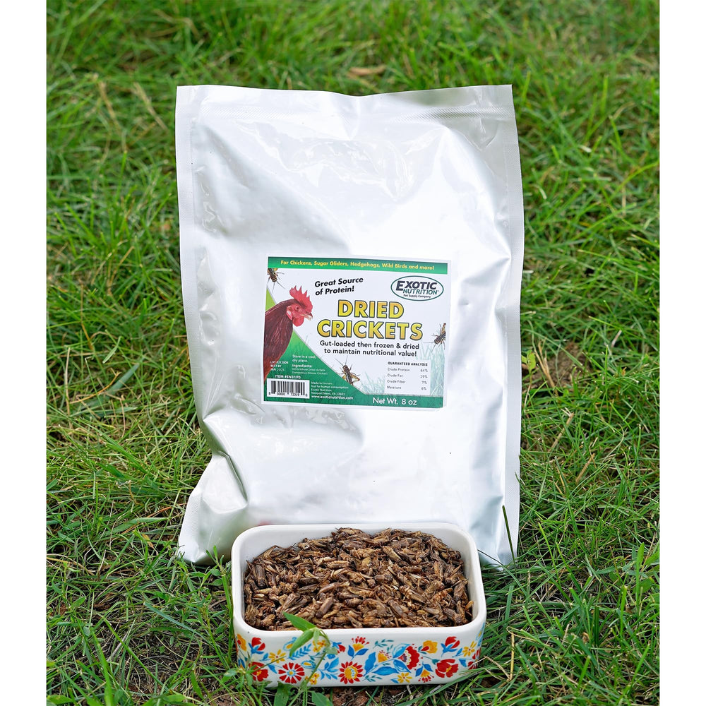 Exotic Nutrition hand-selected crickets illustrating high-quality insects.