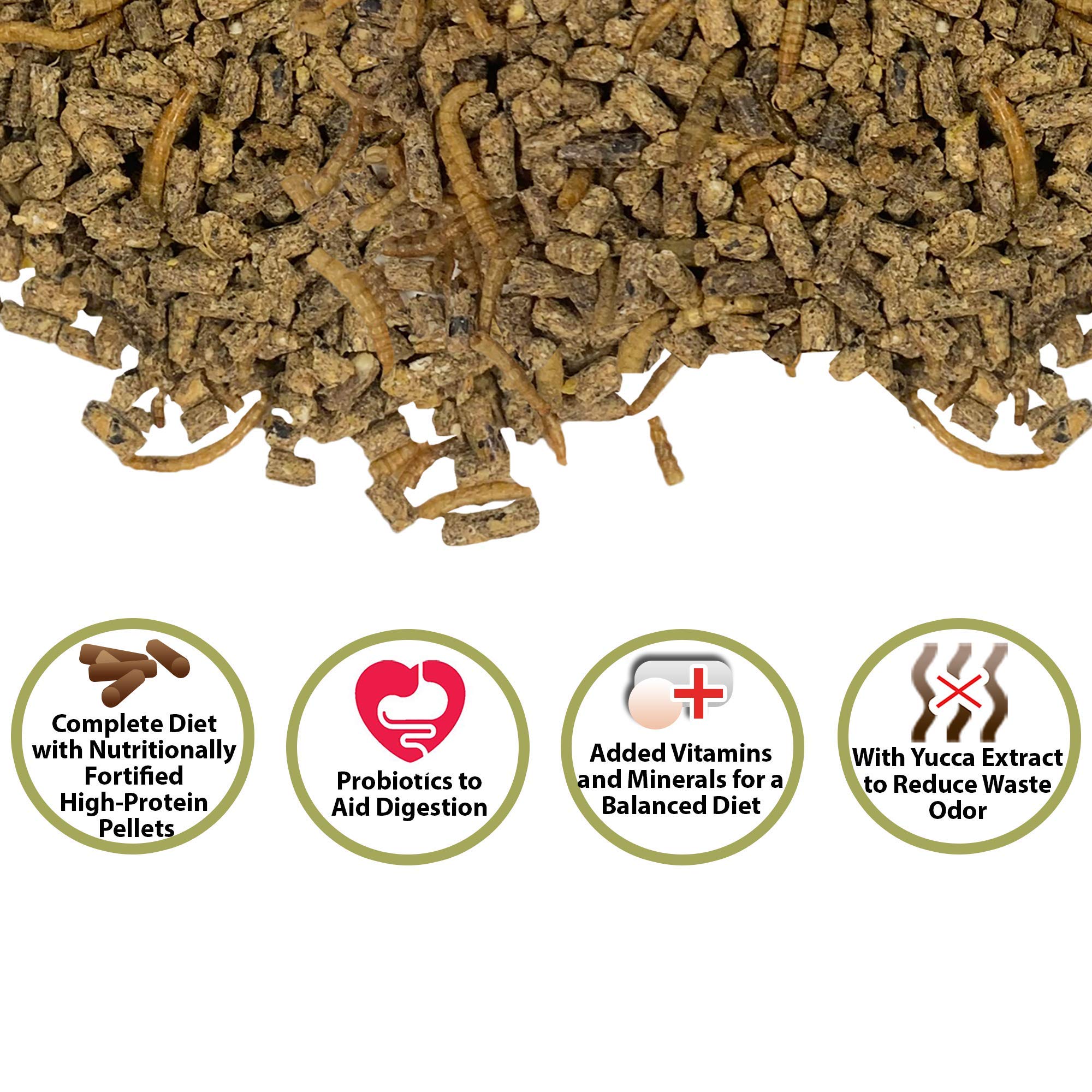 Hedgehog Complete with dried mealworms highlighting protein and enrichment