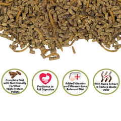 Hedgehog Complete with dried mealworms highlighting protein and enrichment