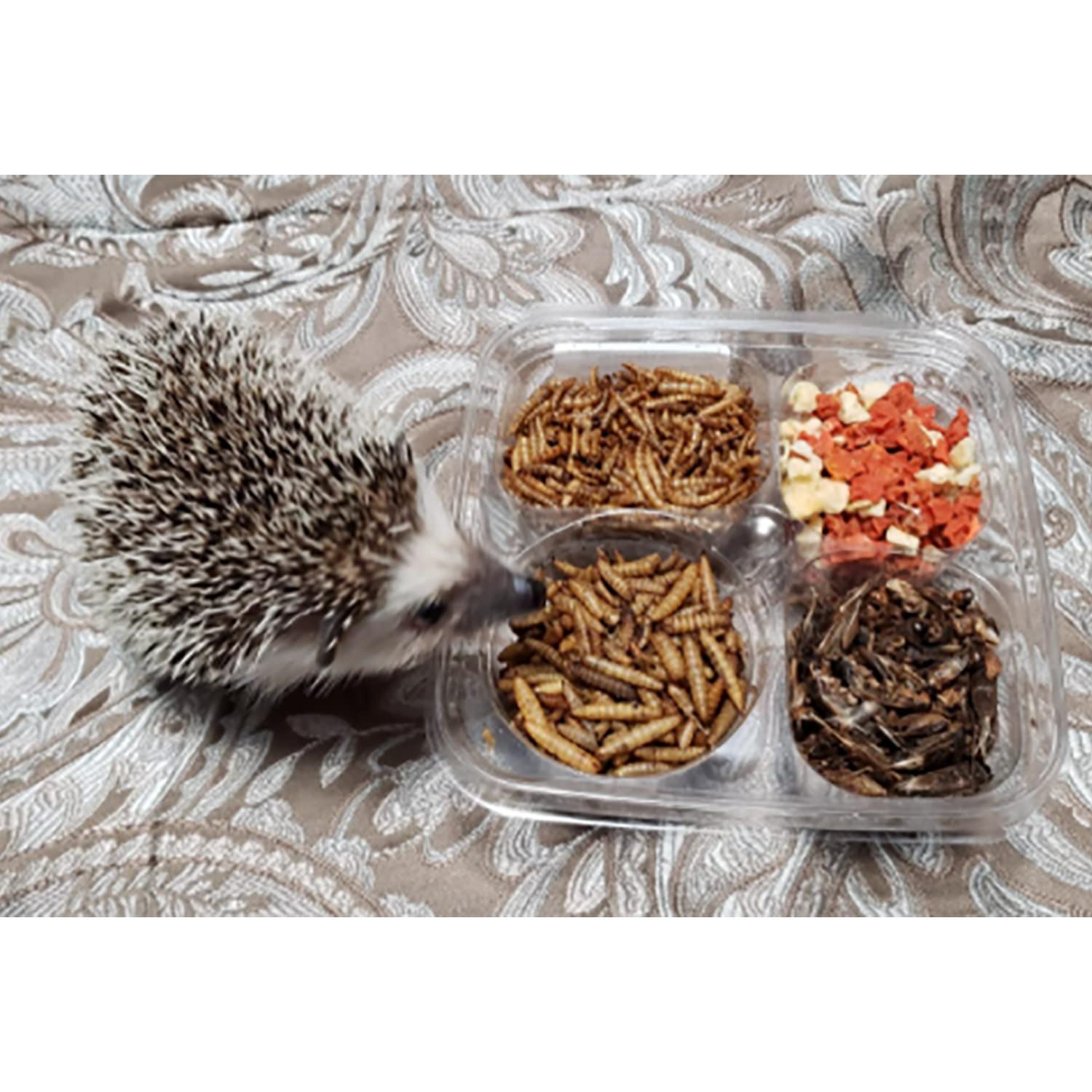 Exotic Nutrition Hedgehog Treat fruits and vegetables mix, colorful nutritious snack