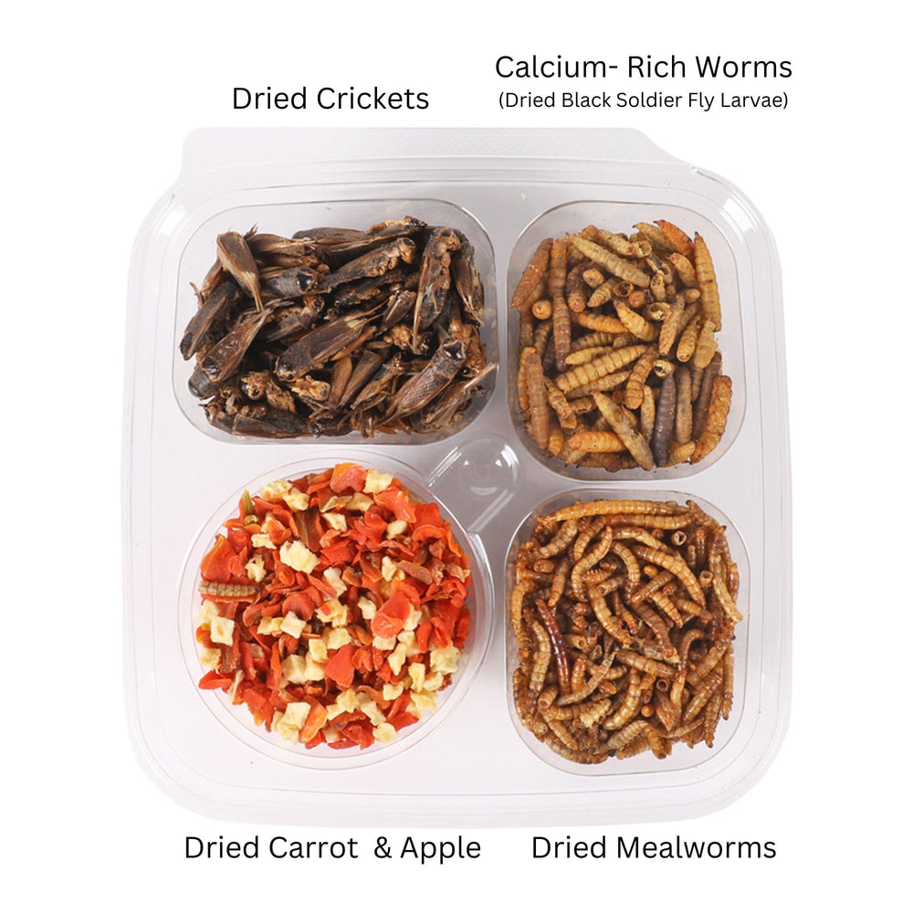 Exotic Nutrition Hedgehog Treat Mealworms close-up, crunchy protein option
