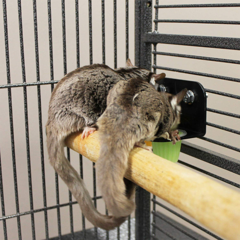 Exotic Nutrition Nectar Pods marmoset snack closeup.