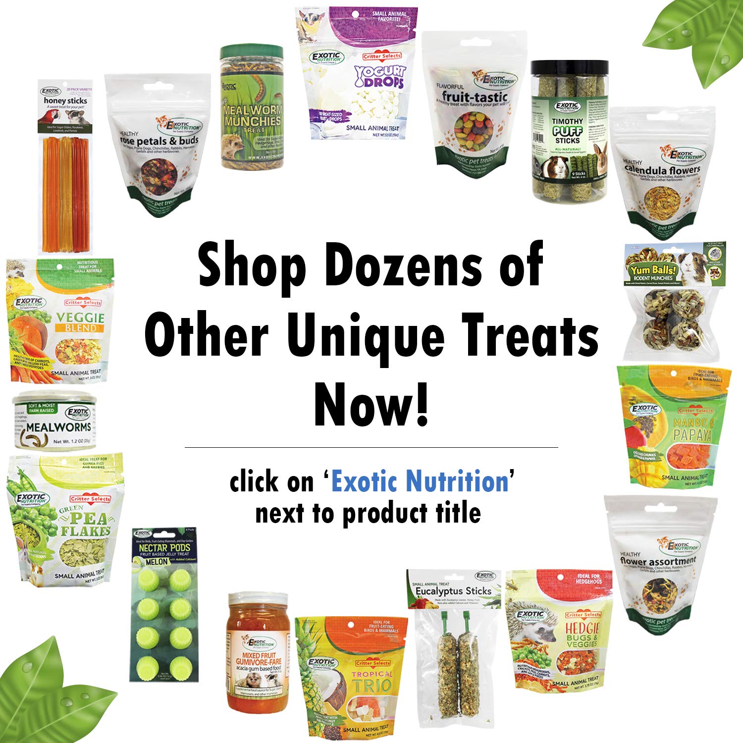Exotic Nutrition Nectar Pods parrot snack collection ready for feeding.