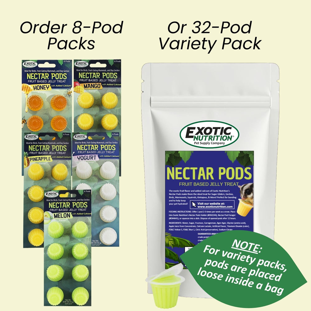 Exotic Nutrition Nectar Pods serving bowl for small pets.