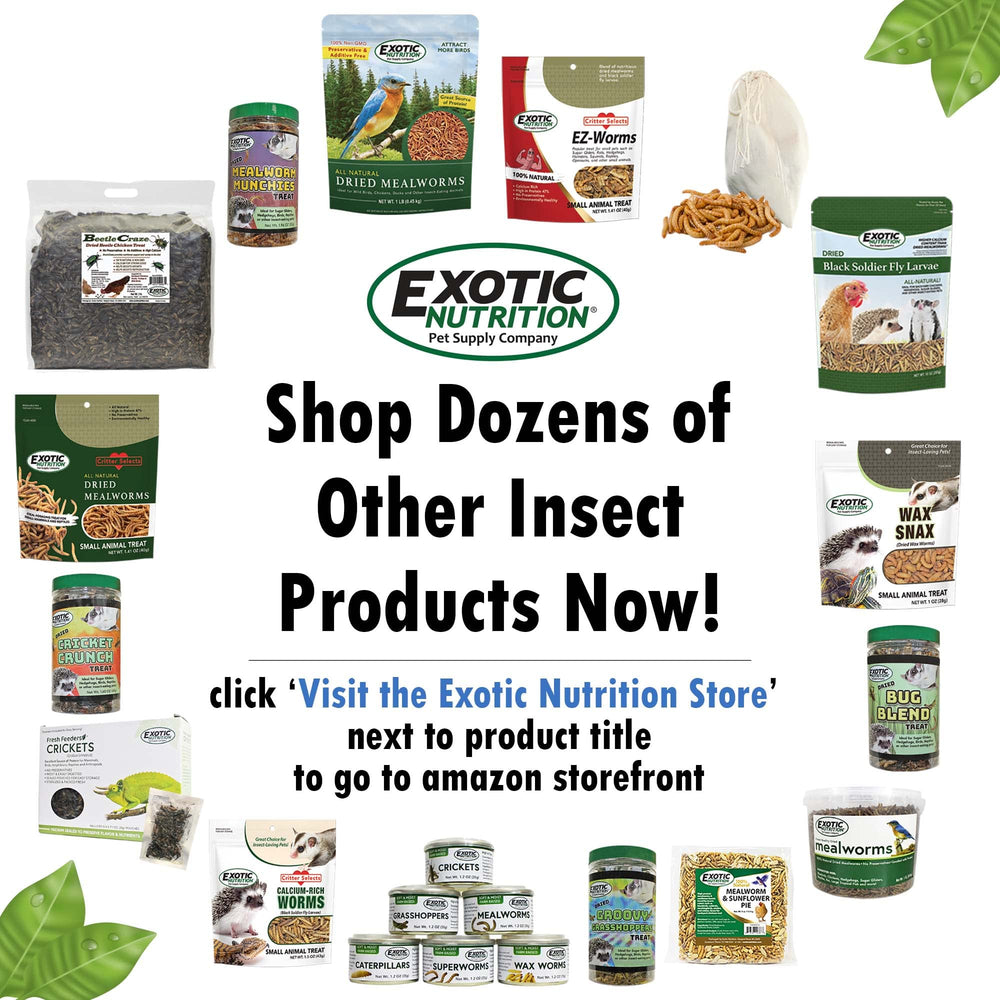 Exotic Nutrition Opossum Complete nutrient blend, includes dried fruits and insects.